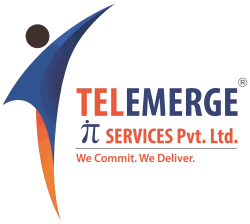 Telemerge_Services